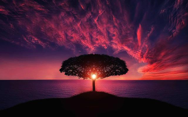 nature hypnose